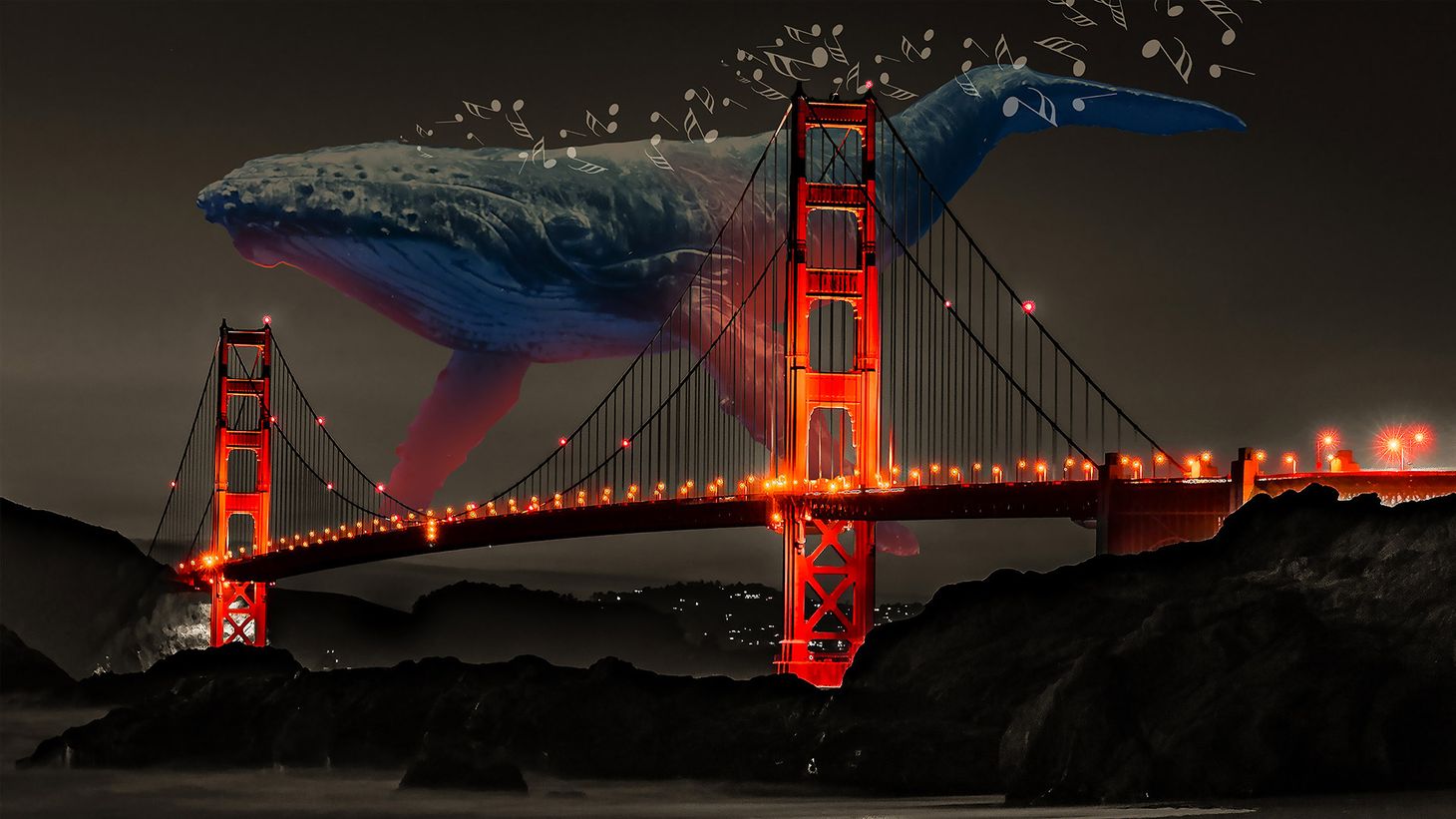 Submit a name to The NFT Whale Directory